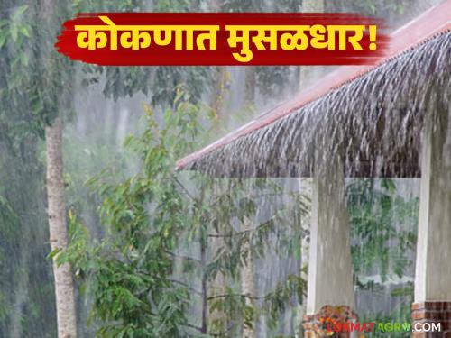 latest news Maharashtra Rain Alert: Know what the weather will be like in Maharashtra for the next 24 hours; IMD has issued an alert | Maharashtra Rain Alert : धो-धो पावसाची शक्यता; IMD ने जारी केला कोकणासाठी अलर्ट