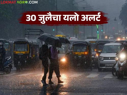 latest news Maharashtra Weather Update: IMD's Yellow Alert! Heavy rain likely in 'these' districts of the state today Read in detail | Maharashtra Weather Update : IMD चा यलो अलर्ट! राज्यातील 'या' जिल्ह्यांमध्ये आज मुसळधार पावसाची शक्यता वाचा सविस्तर