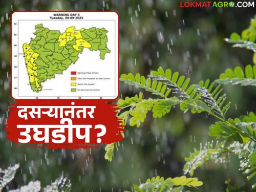 latest news Maharashtra Weather Update: Will it be open after Dussehra? New system continues to threaten rain Read in detail | Maharashtra Weather Update : दसऱ्यानंतरच उघडीप? नव्या प्रणालीमुळे पावसाचा धोका कायम वाचा सविस्तर