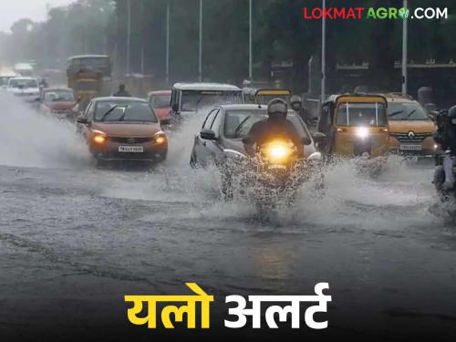 latest news Maharashtra Weather Update: Yellow Alert! Read the warning of storms in these 6 districts in detail | Maharashtra Weather Update : यलो अलर्ट! 'या' ६ जिल्ह्यांमध्ये वादळी वाऱ्यांचा इशारा वाचा सविस्तर