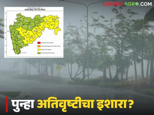 latest news Maharashtra Weather Update: Heavy rains again in Maharashtra; Alert issued in Konkan, Marathwada and Vidarbha | Maharashtra Weather Update : महाराष्ट्रात पुन्हा मुसळधार पाऊस; कोकण, मराठवाडा आणि विदर्भात सतर्कतेचा इशारा