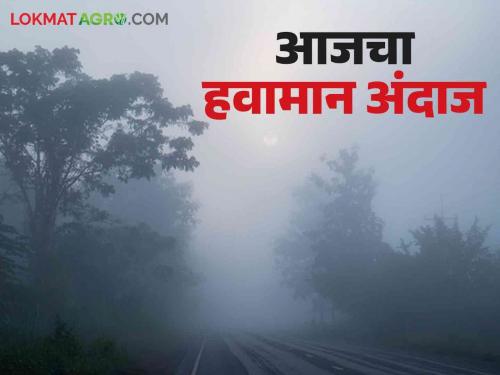 Maharashtra Weather Update : Where is cold and where is heat in the state; Read the IMD report in detail | Maharashtra Weather Update : राज्यात कुठे थंडी तर कुठे उष्णता ; वाचा IMD चा रिपोर्ट सविस्तर