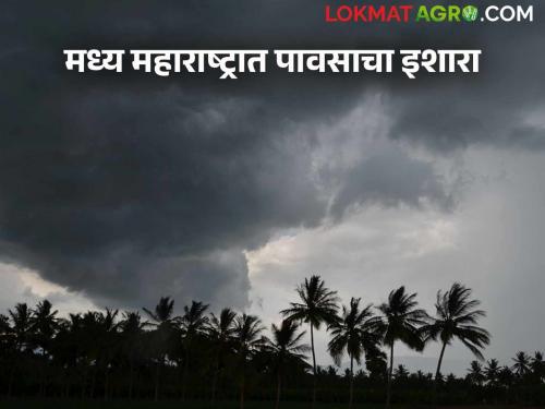 Maharashtra Weather Update: Unseasonal weather crisis looms over the state; Read today's IMD report | Maharashtra Weather Update: राज्यावर अवकाळीचे संकट; वाचा आजचा IMD रिपोर्ट