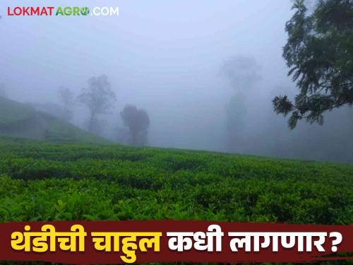 Maharashtra Weather Update : Read warning to some districts Read IMD report for details | Maharashtra Weather Update: दिवाळीनंतर तो पुन्हा येण्याची शक्यता; काही जिल्ह्यांना इशारा वाचा IMD चा रिपोर्ट वाचा सविस्तर