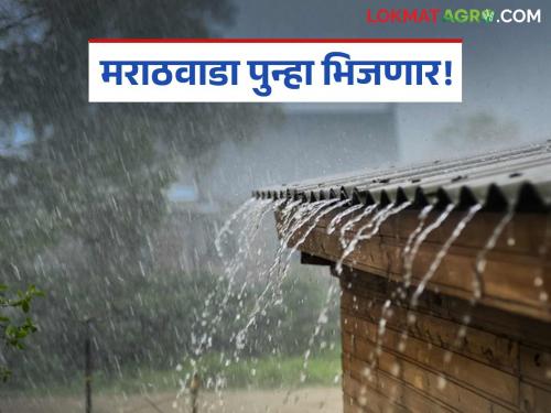 latest news Maharashtra Weather Update: Heavy rain in Maharashtra including Marathwada; Yellow alert in some places, orange alert in others, read in detail | Maharashtra Weather Update : मराठवाड्यासह महाराष्ट्रात पावसाचा जोर; कुठे यलो तर कुठे ऑरेंज अलर्ट वाचा सविस्तर