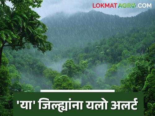 latest news Maharashtra Weather Update: Big change in the weather in the state; What is the reason, read in detail | Maharashtra Weather Update : राज्यातील हवामानात मोठा बदल; काय आहे कारण वाचा सविस्तर