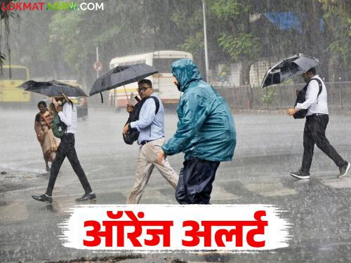 latest news Maharashtra Weather Update: Heavy rain warning; Read the alert for your district in detail | Maharashtra Weather Update : मुसळधार पावसाचा इशारा; तुमच्या जिल्ह्यात कोणता अलर्ट वाचा सविस्तर