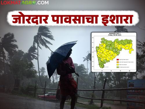 latest news Maharashtra Weather Update: Heavy rain warning! Is your district on yellow alert? Read in detail | Maharashtra Weather Update : जोरदार पावसाचा इशारा! तुमचा जिल्हा यलो अलर्टमध्ये आहे का? वाचा सविस्तर