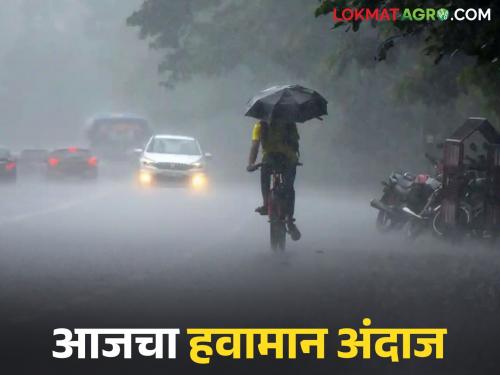latest news Maharashtra Weather Update: Rain clouds will thunder again; Where is the Meteorological Department's alert? Read in detail | Maharashtra Weather Update : पावसाचे ढग पुन्हा गडगडणार; हवामान खात्याचा अलर्ट कुठे? वाचा सविस्तर