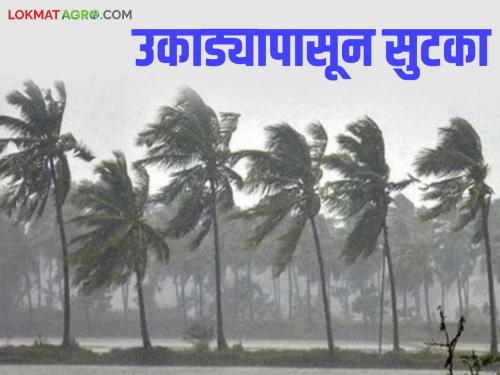Maharashtra weather Update: latest news Relief from the heat; But what is today's weather forecast? Read in detail | Maharashtra weather Update: उकाड्यापासून सुटका; पण काय आहे आजचा हवामान अंदाज वाचा सविस्तर