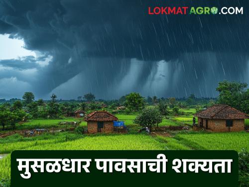 latest news Maharashtra Weather Update: Rains will make a comeback in the state; Meteorological Department issues alert, read in detail | Maharashtra Weather Update : राज्यात पाऊस करणार कमबॅक; हवामान खात्याचा अलर्ट जारी वाचा सविस्तर