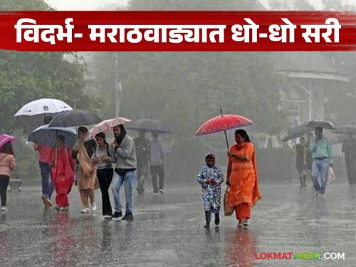 latest news Maharashtra Weather Update: Heavy rain in Vidarbha, Marathwada; Alert for these districts, read in detail | Maharashtra Weather Update : विदर्भ, मराठवाड्यात धो-धो सरी; ‘या’ जिल्ह्यांना अलर्ट वाचा सविस्तर
