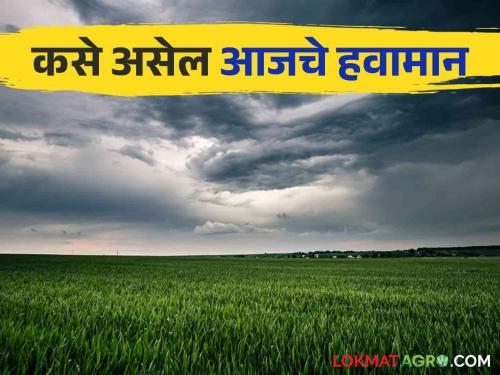 Maharashtra Weather Update : 'Yellow Alert' for 'these' districts in Marathwada including Vidarbha; Read the IMD report in detail | Maharashtra Weather Update : विदर्भासह मराठवाड्यात 'या' जिल्ह्यांना 'यलो अलर्ट'; IMD रिपोर्ट वाचा सविस्तर