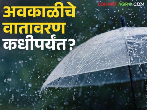 Maharashtra Weather Update: latest news Chance of hail is low but unseasonal rain till 'this' date, read in detail | Maharashtra Weather Update: गारपिटीची शक्यता कमी मात्र अवकाळी पाऊस 'या' तारखेपर्यंत, वाचा सविस्तर