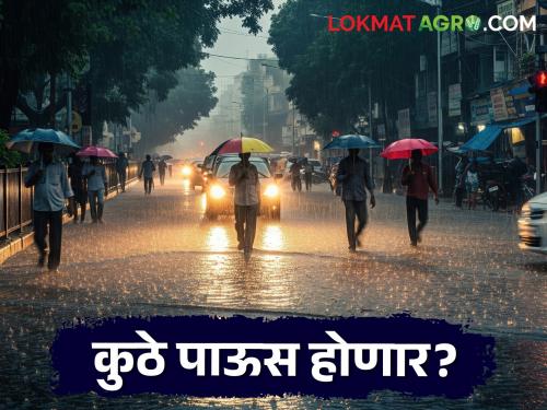 latest news Maharashtra Rain Alert: Warning of heavy rain; Yellow-Orange alert in 25 districts of the state Read in detail | Maharashtra Rain Alert: मुसळधार पावसाचा इशारा; राज्यात २५ जिल्ह्यांत यलो-ऑरेंज अलर्ट वाचा सविस्तर