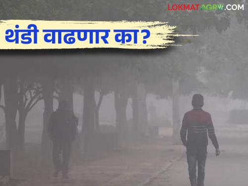 Maharashtra Weather Update : Low pressure area in Bay of Bengal; What will be the effect on the weather? Read the IMD report in detail | Maharashtra Weather Update : बंगालच्या उपसागरात कमी दाबाचे क्षेत्र; हवामानावर काय होईल परिणाम IMD चा रिपोर्ट वाचा सविस्तर