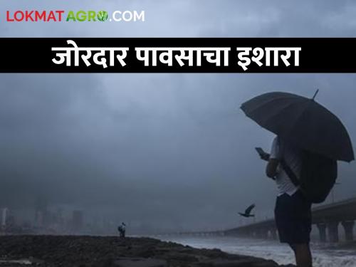 latest news Maharashtra Weather Update: IMD issues alert: Rain with gusty winds in the state! Read in detail | Maharashtra Weather Update: IMD ने जारी केला अलर्ट: राज्यात वादळी वाऱ्यांसह पाऊस! वाचा सविस्तर
