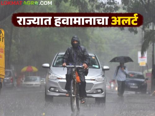 latest news Maharashtra Weather Update: Rain is increasing in intensity; Marathwada on alert, possibility of heavy rain in Vidarbha Read in detail | Maharashtra Weather Update : पावसाचा जोर वाढतोय; मराठवाडा सतर्क, विदर्भात अतिवृष्टीची शक्यता वाचा सविस्तर