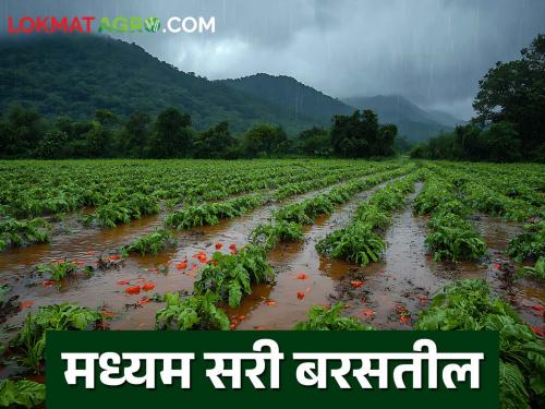 latest news Maharashtra Weather Update: Light rain in 'this' district; Read the warning given to fishermen in detail | Maharashtra Weather Update : 'या' जिल्ह्यात हलका पाऊस; मच्छीमारांना काय दिलाय इशारा वाचा सविस्तर 