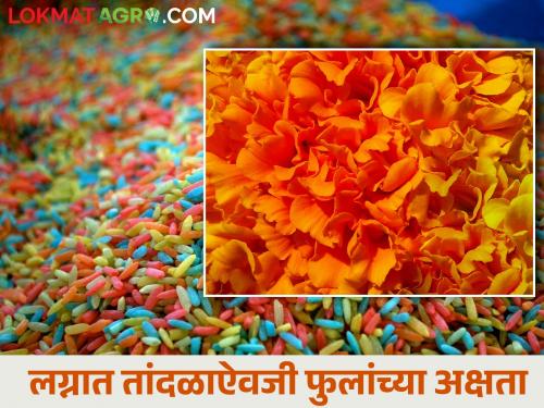 resolution of Gram Sabha; Now farmers' flowers will get good market price | ग्रामसभेचा हटके ठराव; आता शेतकऱ्यांच्या फुलांना मिळेल चांगला बाजारभाव