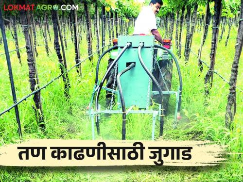 A farmer from Wangi built a tractor powered weed harvester | वांगी येथील शेतकऱ्याने बनविले ट्रॅक्टरवर चालणारे तण कापणी यंत्र