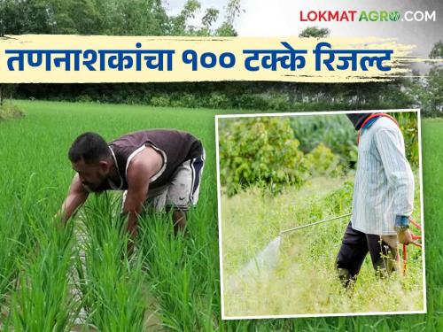 Herbicides Use: How to use herbicides to get good results | चांगला रिजल्ट येण्याकरिता कसा कराल तणनाशकांचा वापर