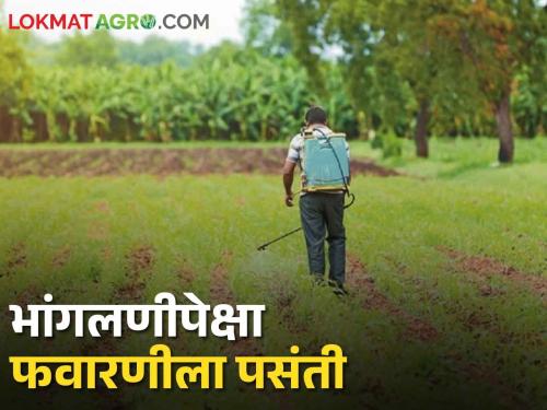 Spraying is easier than weeding if farm laborers are not available; Increase in herbicide use | शेतमजुर मिळेनात भांगलणीपेक्षा फवारणीच सोपी; तणनाशक वापरात वाढ