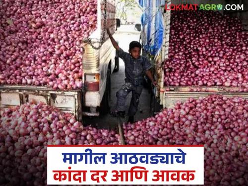 Latest news Weekly Kanda Market How was onion arrival last week and market price Read in detail | मागील आठवड्यात कांद्याची आवक कशी राहिली, दर काय मिळाले? वाचा सविस्तर 