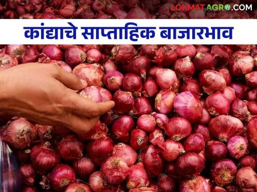 Latest news Kanda bajarbhav Onion market price in last week Read in detail  | Weekly Onion Market : कांदा आवक घटली, मागील आठवड्यात कांद्याचे बाजारभाव कसे होते? वाचा सविस्तर 