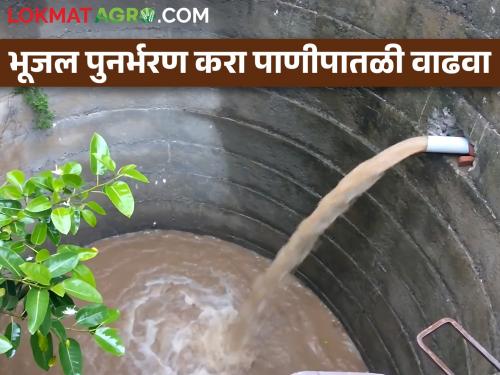 The water in the well is low, then do this and the water will increase | विहिरीला पाणी कमी पडू नये म्हणून करा हा सोपा उपाय