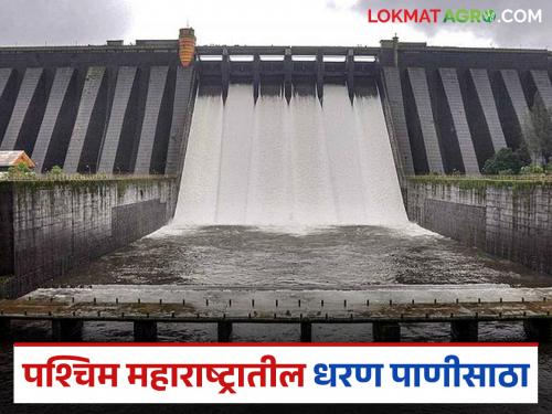 Water storage in dams in western Maharashtra is above 70 percent; How much water is in which dam? | पश्चिम महाराष्ट्रातील धरणांचा पाणीसाठा ७० टक्क्यांच्यावर; कोणत्या धरणात किती पाणी?