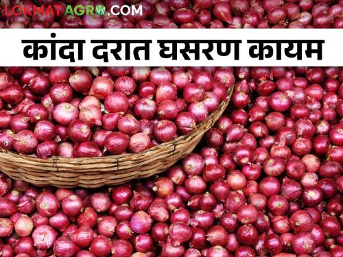 latest News 25 January 2024 todays onion rate in nashik and Lasalgaon | कांदा उत्पादक शेतकरी संकटात, लासलगावला प्रति क्विंटलला हजार रुपये दर 