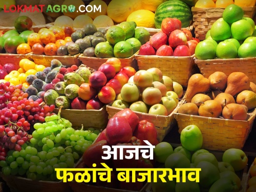 Latest News Todays Fruit Market Price In maharashtra bajar samiti | Fruit Market : केळीची आवक वाढली, द्राक्षांच्या दरात चढ-उतार कायम, आजचे फळांचे बाजारभाव 