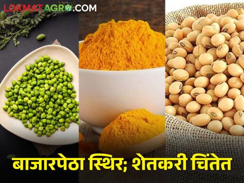 gram, turmeric, soybeans market rate constant | हरभरा, हळद, सोयाबीन आवक वाढली; मात्र दर जैसे थे