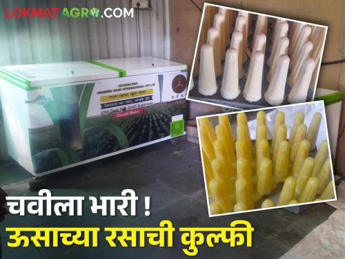 A natural sugarcane product brand founded by four friends | चार मित्रांनी उभारला नैसर्गिक ऊसाच्या उत्पादनाचा ब्रॅंड