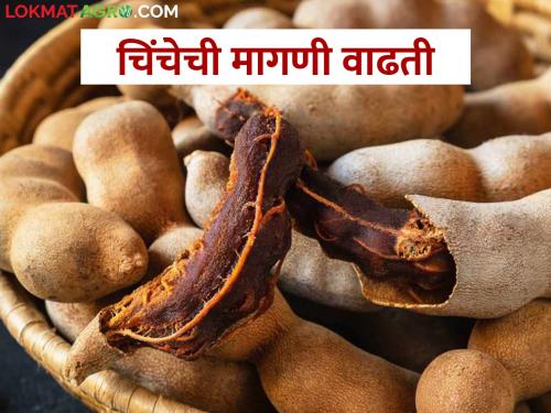 Huge demand from overseas; Tamarind is fetching good price | परराज्यातून मोठी मागणी; चिंचेला मिळतोय चांगला भाव