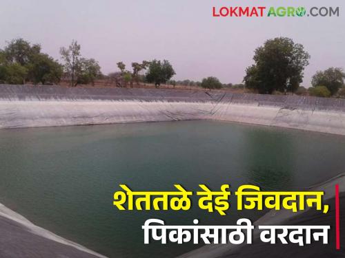 Power to irrigate crops through the water pond | शेततळ्याच्या माध्यमातून पिकांना सिंचनाचे बळ