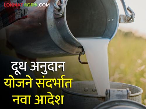 Didn't you get milk subsidy too? Then read this | तुम्हांला सुद्धा दूध अनुदान आले नाही का? मग हे वाचा