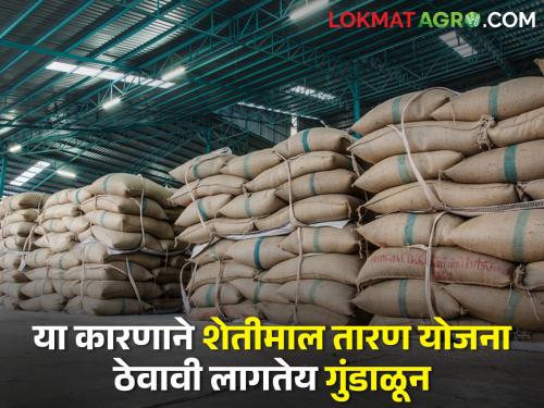 Agricultural Scheme to provide loans to farmers at low interest rates | शेतकर्‍यांना अल्प व्याजदरात कर्ज उपलब्ध करून देणारी शेतमाल योजना