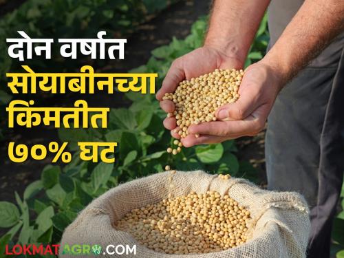 Soybeans lying in the house; Farmers in economic crisis | सोयाबीन घरातच पडून; शेतकरी आर्थिक संकटात