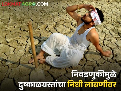 Drought Victims' Fund Under Code of Conduct; Farmers in trouble | दुष्काळग्रस्तांचा निधी आचारसंहितेच्या कचाट्यात; शेतकरी अडचणीत