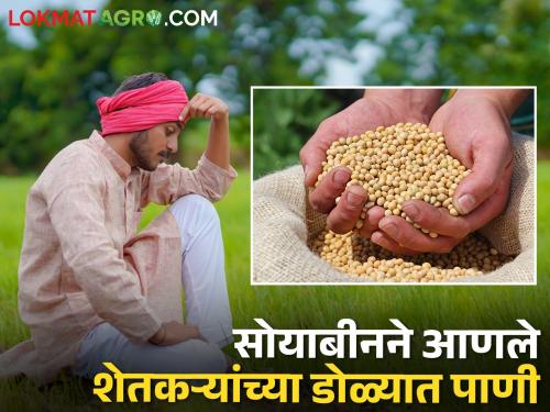 Farmers are increasingly turning to other crops instead of soybeans | सोयाबीन ऐवजी इतर पिकांकडे शेतकऱ्यांचा वाढतोय कल