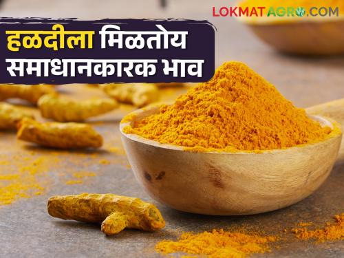 Turmeric incoming increased; Average price is Rs.17500 | हळदीची आवक वाढली; सरासरी १७५०० रुपये भाव