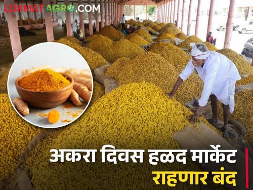 Buying and selling of turmeric will remain closed; Read what's the reason | हळदीची खरेदी विक्री राहणार बंद; काय आहे कारण वाचा