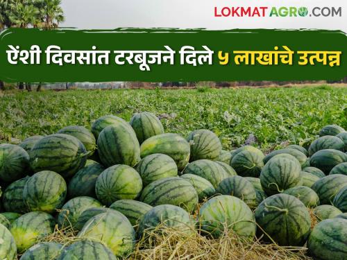 Export of Watermelon; The economic peak happened heavily | टरबूजची परदेश वारी; आर्थिक कमाल घडली भारी