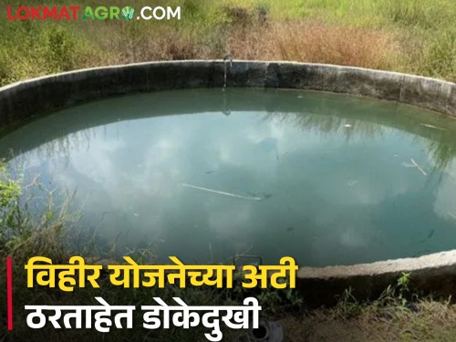 How to build a well for two and a half lakh? Farmer says... | अडीच लाखात विहीर बांधायची तरी कशी? शेतकरी म्हणतात...