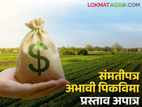 18 thousand 540 farmers who took out crop insurance are ineligible citing the reason of consent letter | संमतीपत्रचे कारण पुढे करत पीकविमा काढलेले १८ हजार ५४० शेतकरी अपात्र