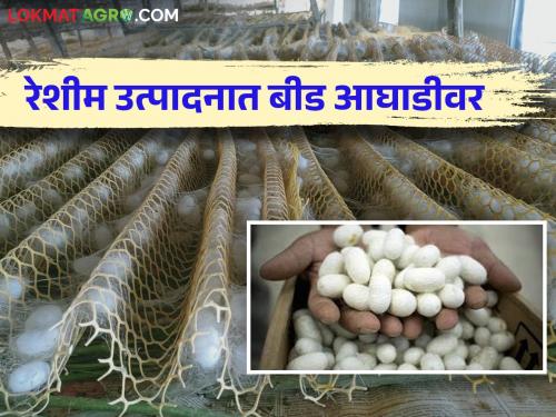 Beed district accounts for the largest share of silk production in the state | राज्यातील रेशीम उत्पादनापैकी सर्वाधिक वाटा बीड जिल्ह्याचा