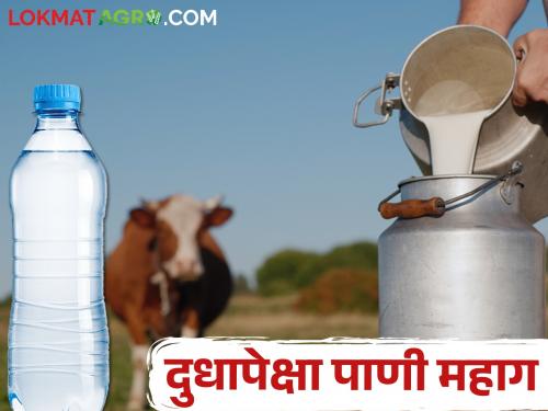 20 rupees to buy a liter of water and 25 rupees for milk; Milk producers in crisis | एक लिटर पाणी खरेदी करण्यासाठी २० रुपये अन् दुधाला २५ रुपये भाव ; दूध उत्पादक संकटात