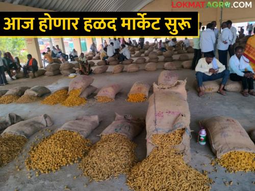 Buying and selling will be smooth again in Turmeric Market Yard; Agricultural goods filed for sale | हळद मार्केट यार्डात खरेदी-विक्री होणार पुन्हा सुरळीत; शेतमाल विक्रीसाठी दाखल